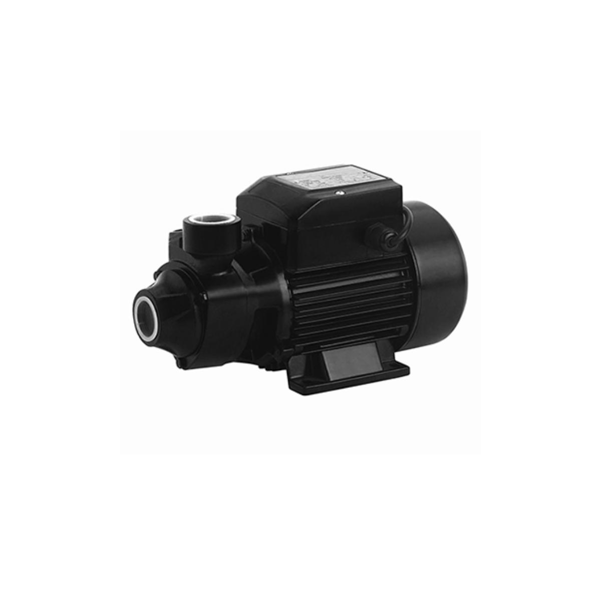 1 HP Fine Brush Water Pump